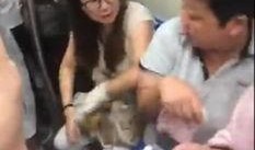 石家庄阿姨爆料事件视频,揭露惊人真相